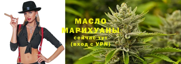 сатива Коряжма