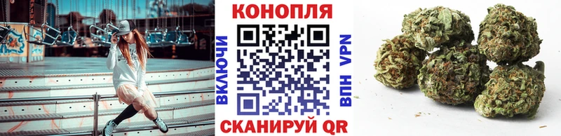 OMG   Александровское  Конопля конопля 
